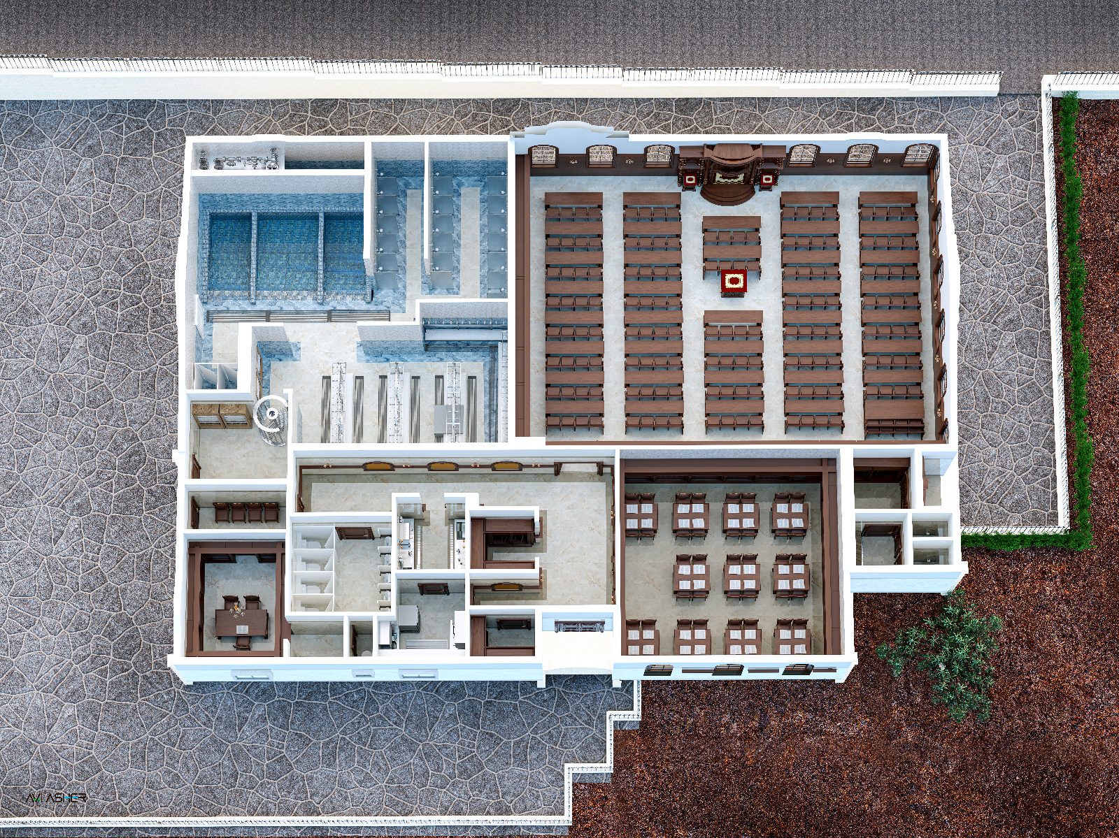 תמונה קומתית.jpg