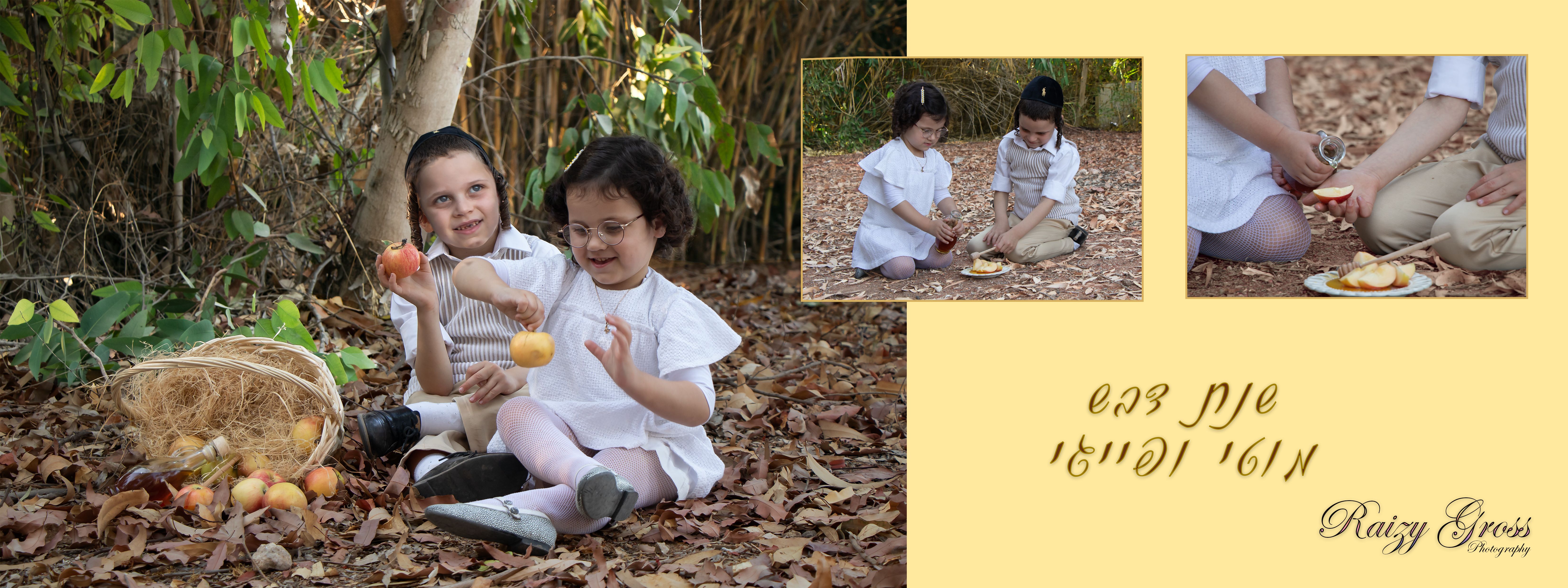 תמונה רה 2.jpg