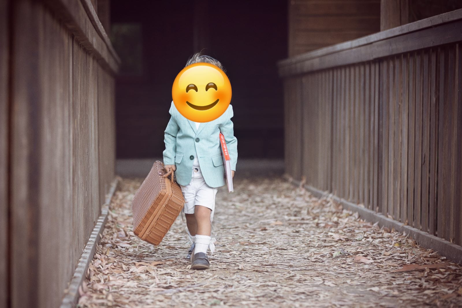 תמונה של WhatsApp‏ 2023-01-04 בשעה 14.22.09.jpg