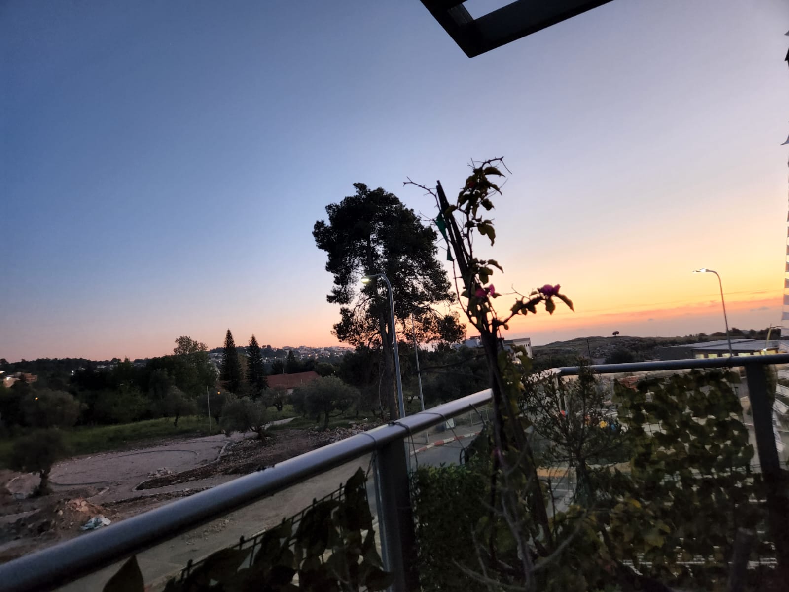 תמונה של WhatsApp‏ 2023-04-25 בשעה 10.48.07.jpg