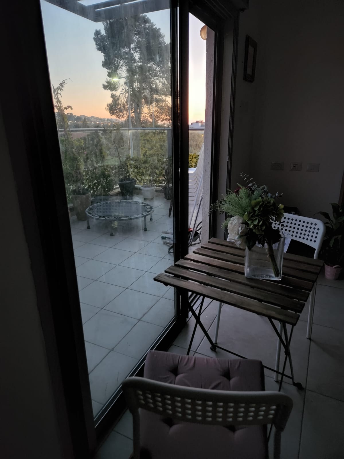 תמונה של WhatsApp‏ 2023-04-25 בשעה 10.50.10.jpg