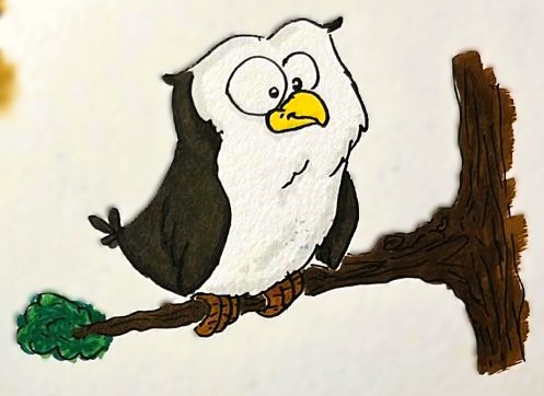 תמונה של WhatsApp‏ 2023-11-11 בשעה 23.06.49_c1849253.jpg