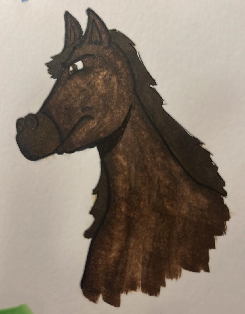 תמונה של WhatsApp‏ 2023-11-11 בשעה 23.07.57_33ed3785.jpg