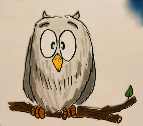 תמונה של WhatsApp‏ 2023-11-11 בשעה 23.08.52_70e413b33.jpg