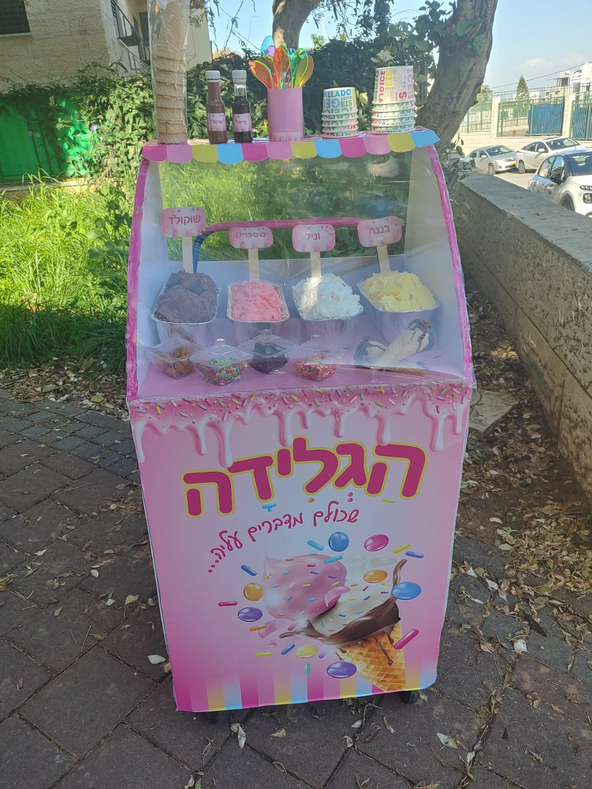 תמונה של WhatsApp_ 2024-03-20 בשעה 09.48.40_f793099f.jpg