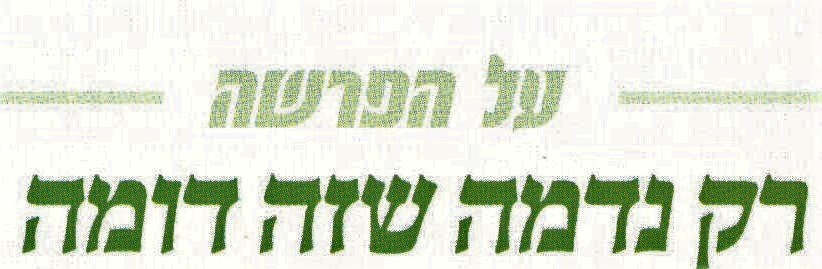 תמונה (5).jpg