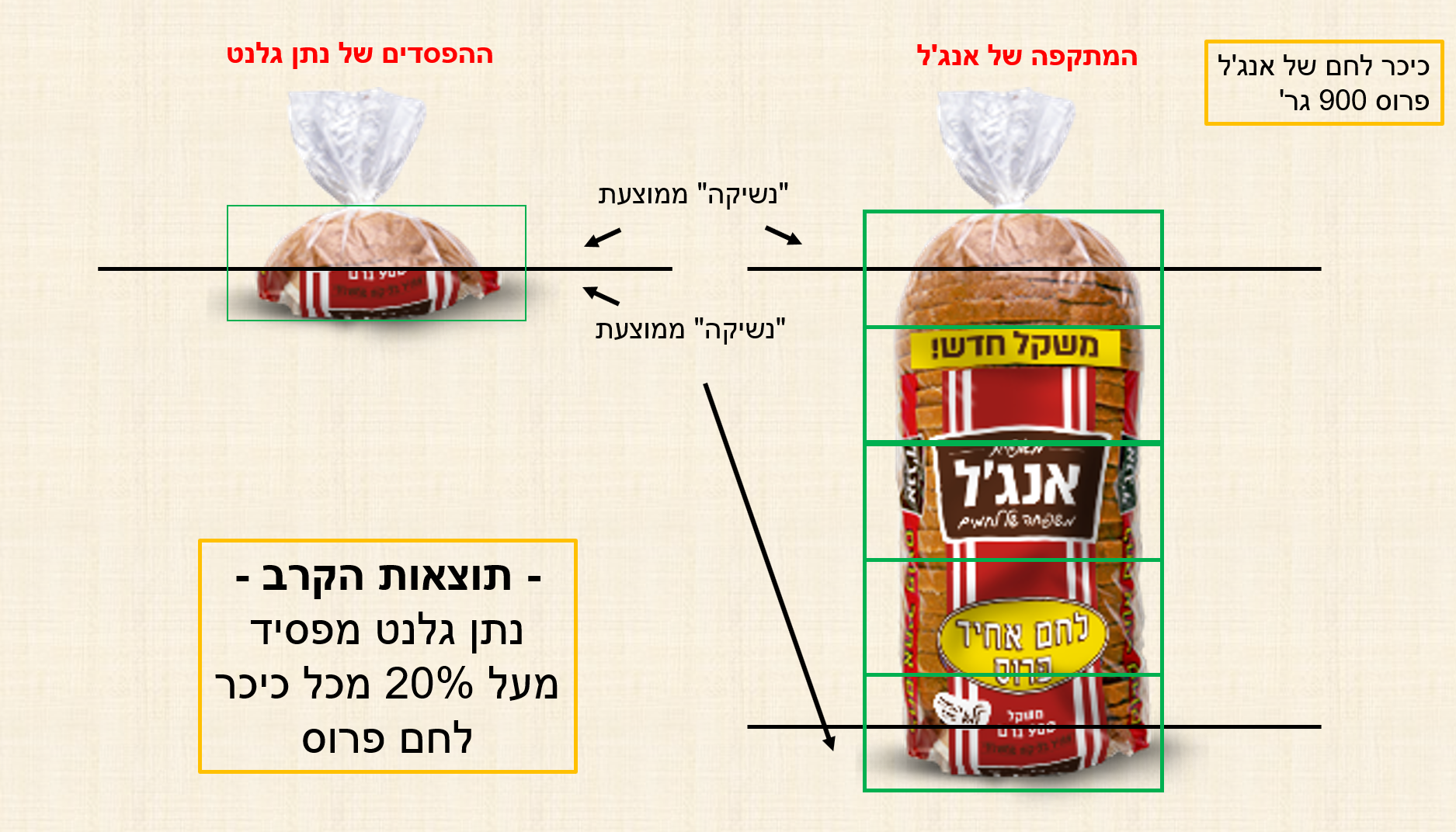 תמונה2.png