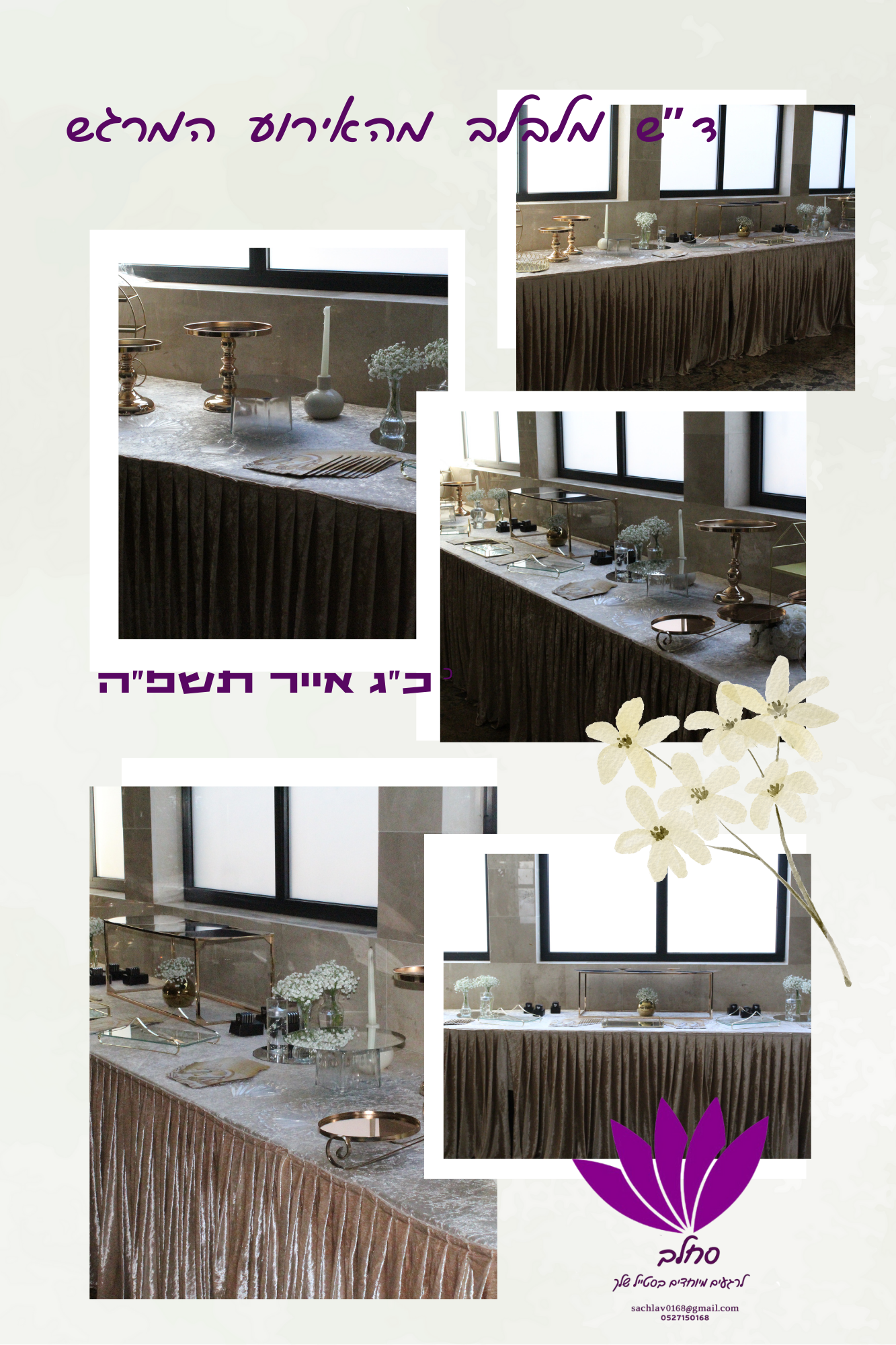 ,תמונות בר.png