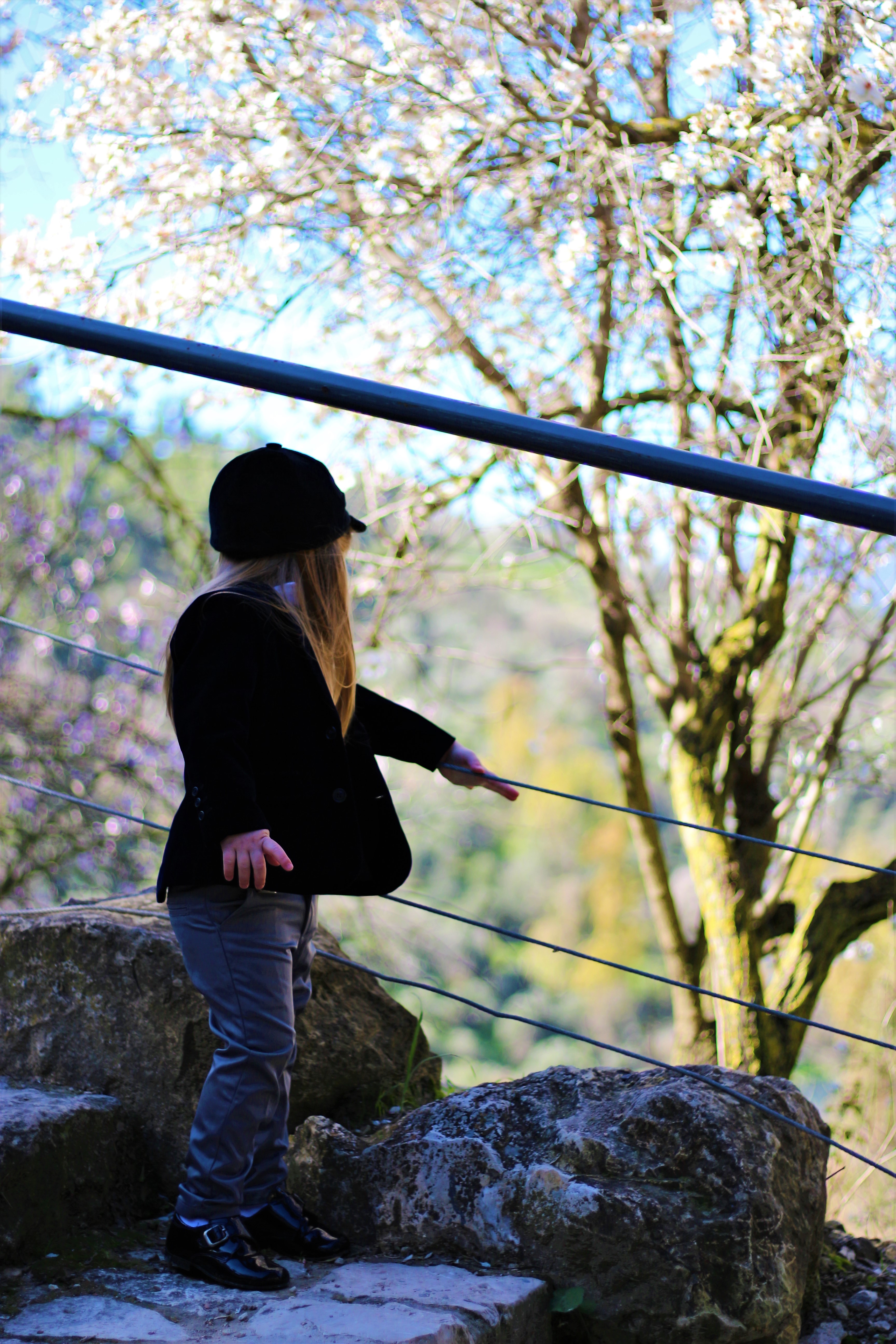 תמונות חןץ.JPG