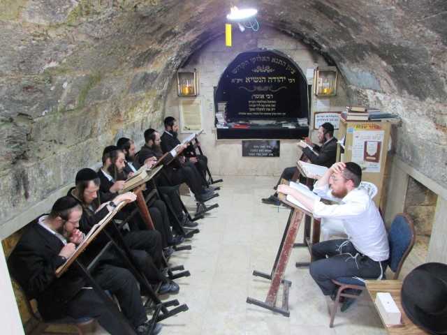 תמונות כולל ציפורי 2 (Small).JPG