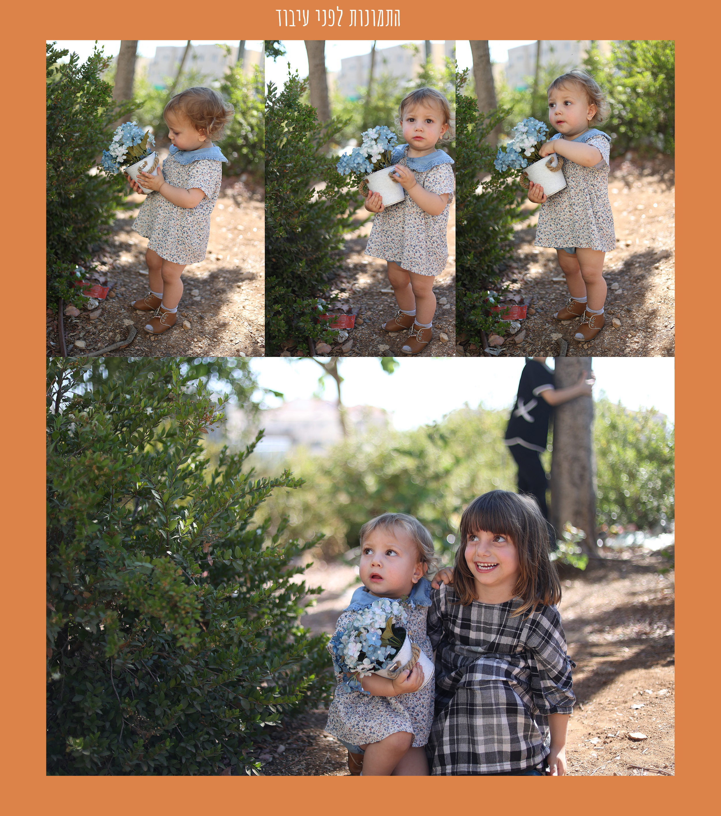 תמונות לפני עיבוד.jpg