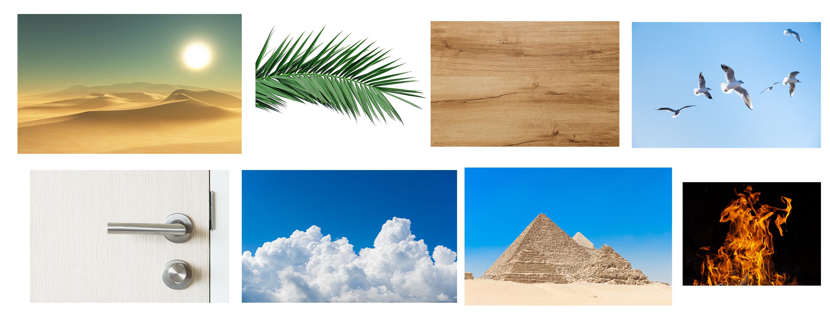 תמונת ליצירה בסוכות הושבתי.jpg