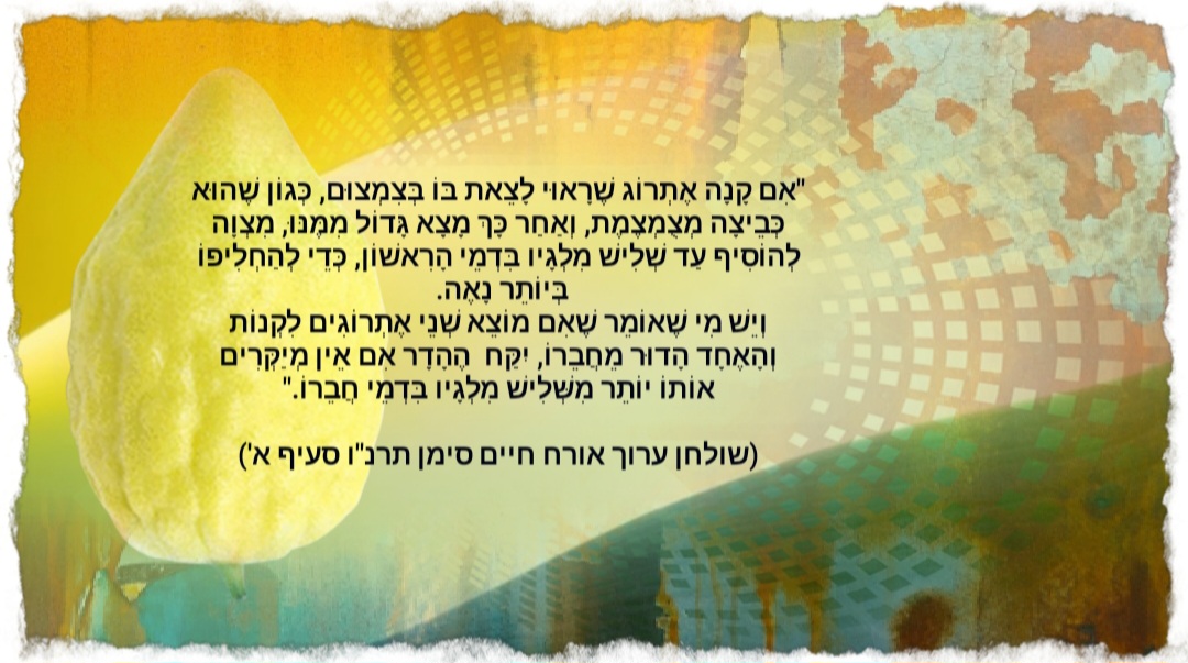 תמונת שער.jpg