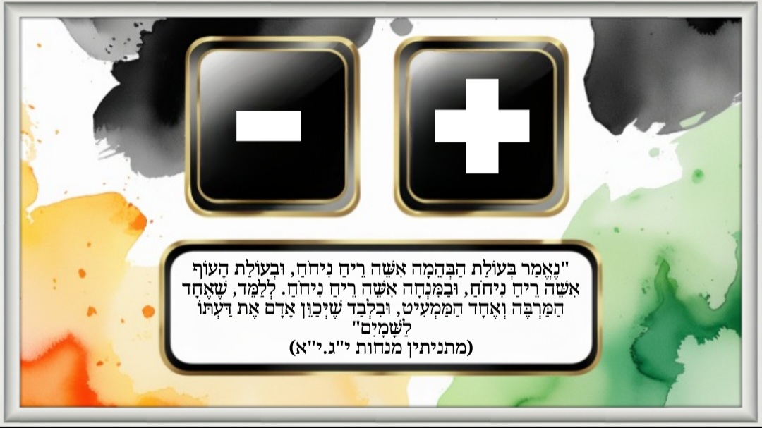 תמונת שער.jpg