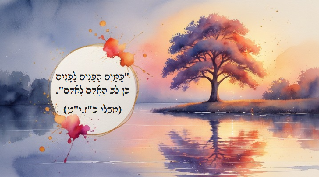 תמונת שער.png