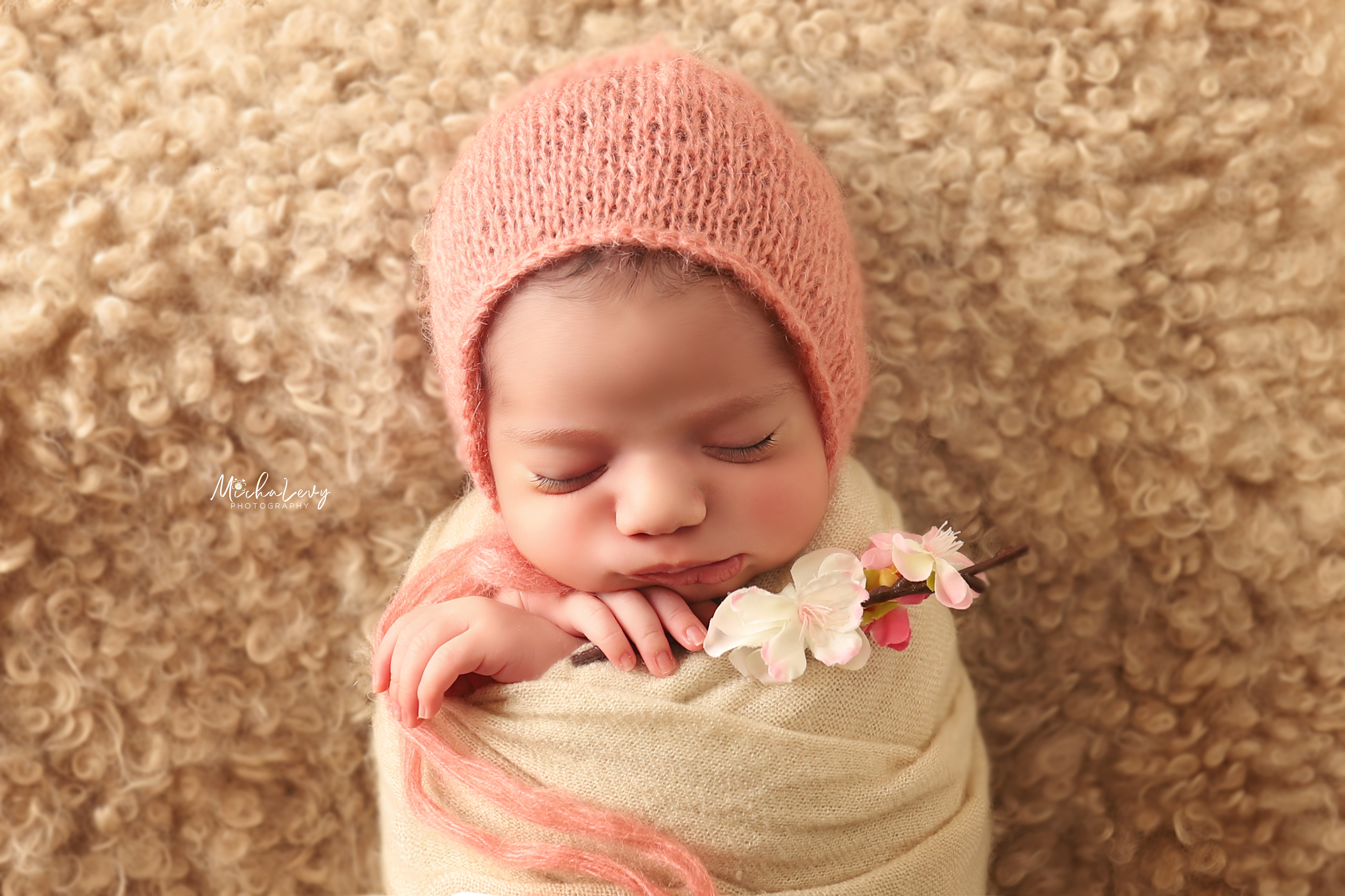 תמרי ערוך + לוגו.jpg