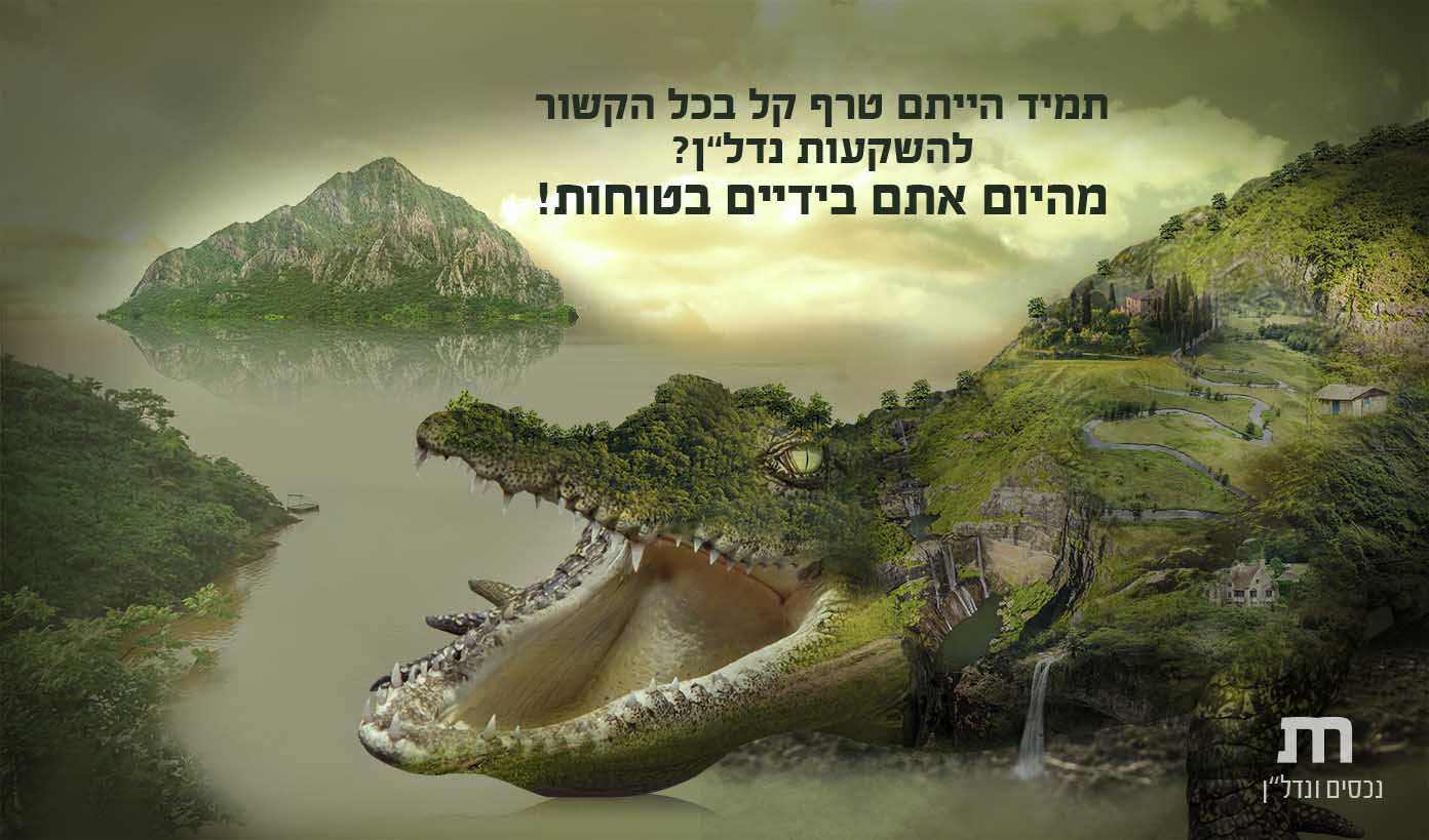 תנין 23 2 WEB.jpg