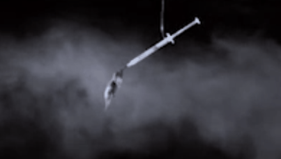 תעופה יונק דבש.gif