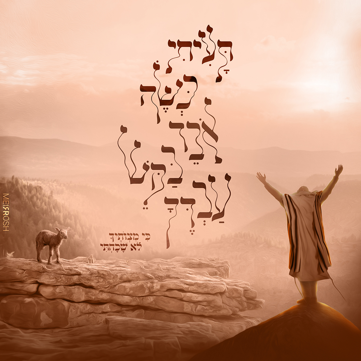 תעיתי כשה אובד ריבוע MeirRoshDSEIGN1.jpg