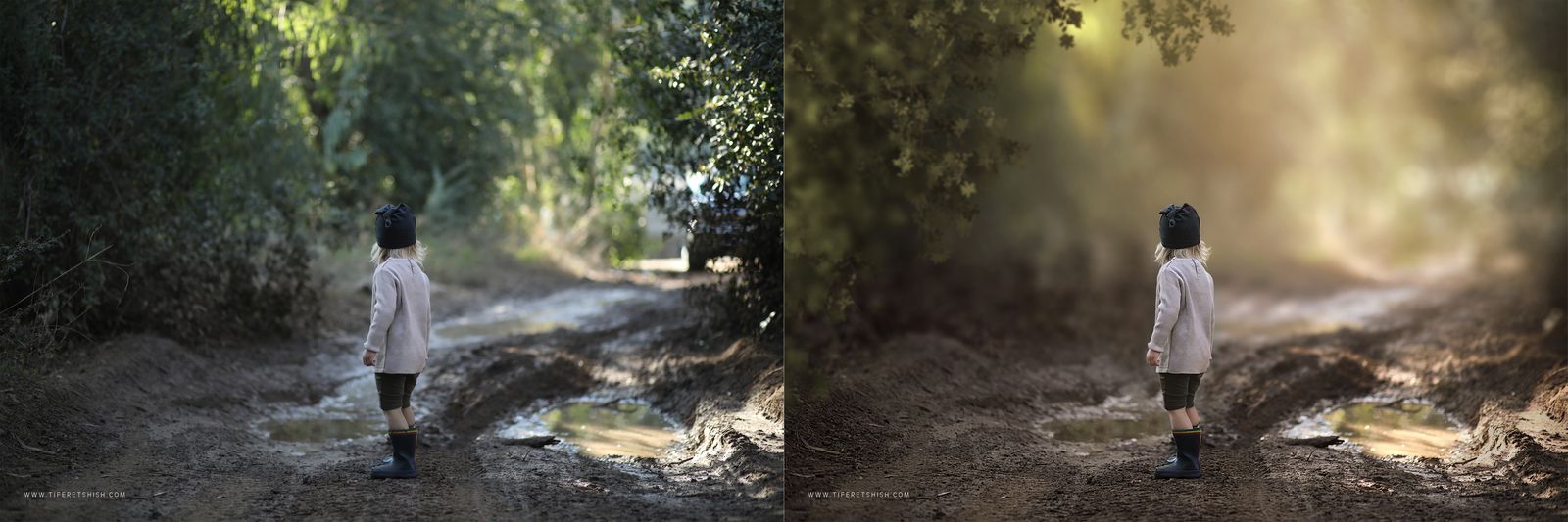 תפארת שיש_1600x533.jpg