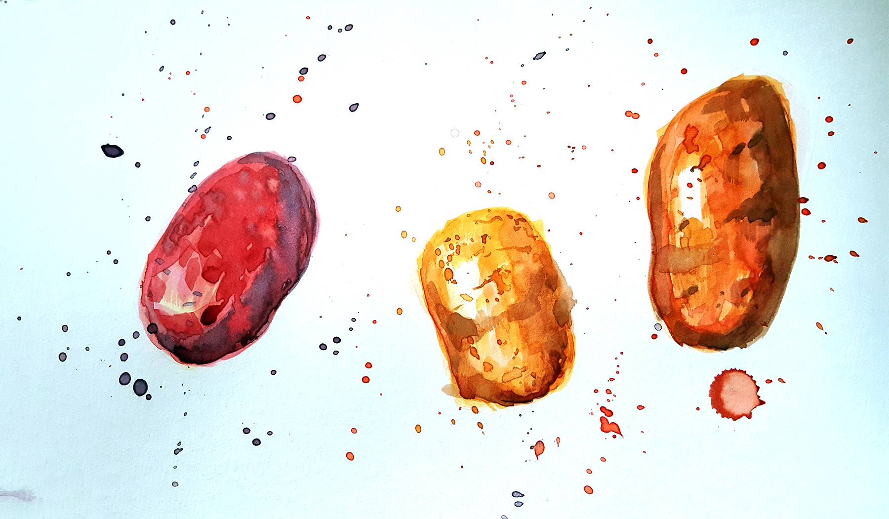 תפוחי אדממה.jpg