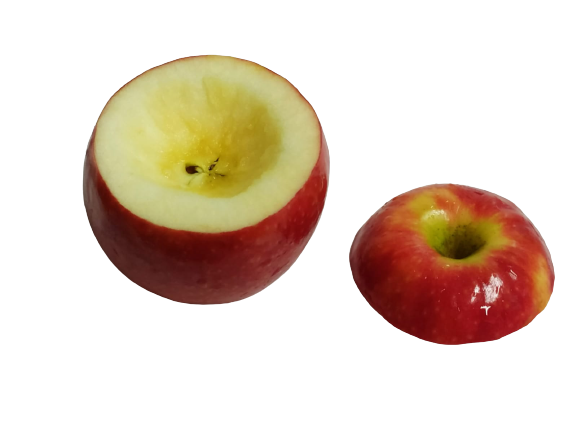 תפוח בדבש (1).png