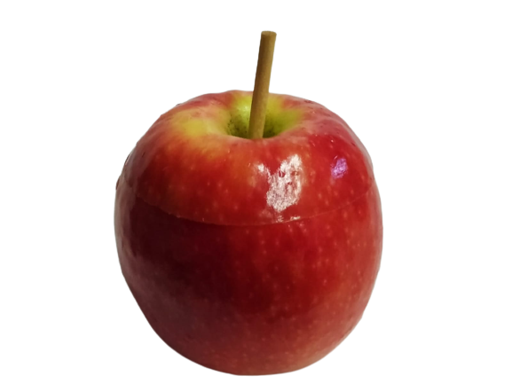 תפוח בדבש (3).png