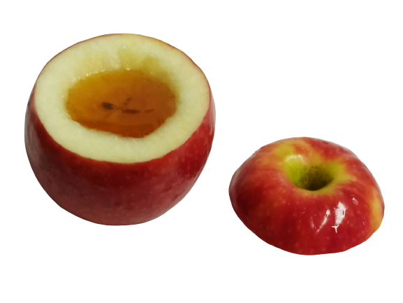 תפוח בדבש (4).png
