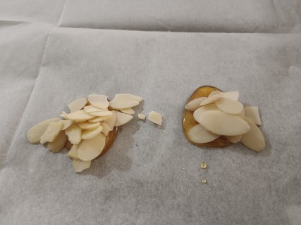 תפוח (3) (Mobile).jpeg