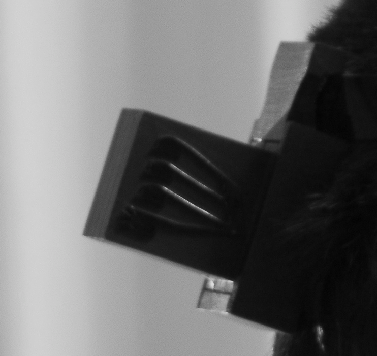 תפילין ראש בהגדלה.jpg