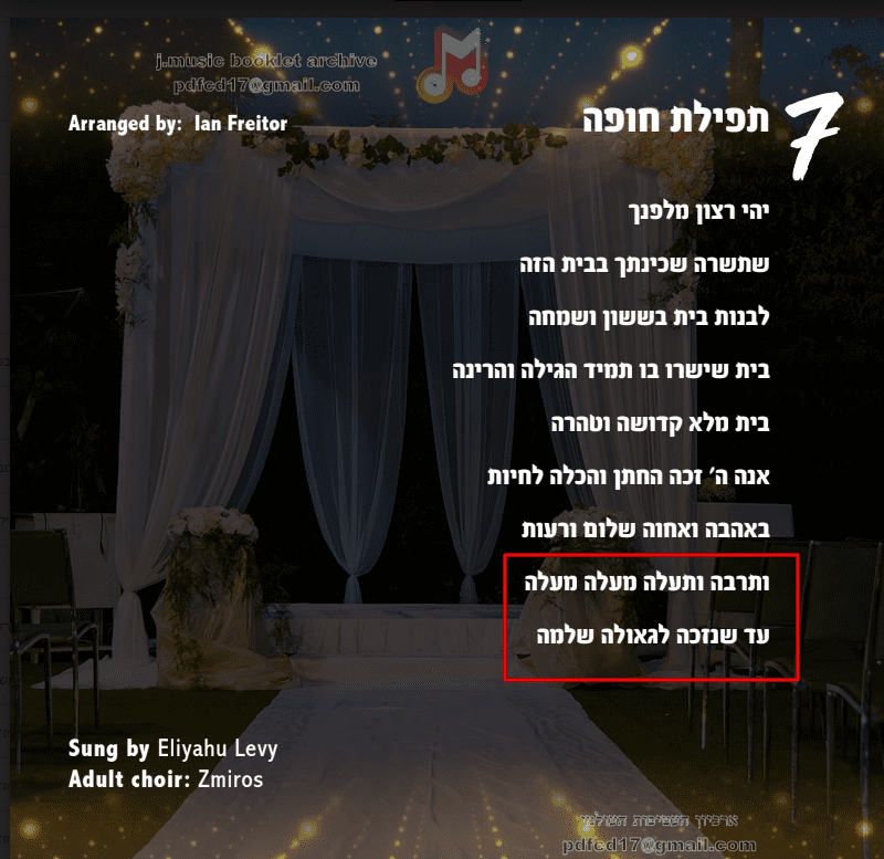 תפילת חופה מיאמי בויס.png