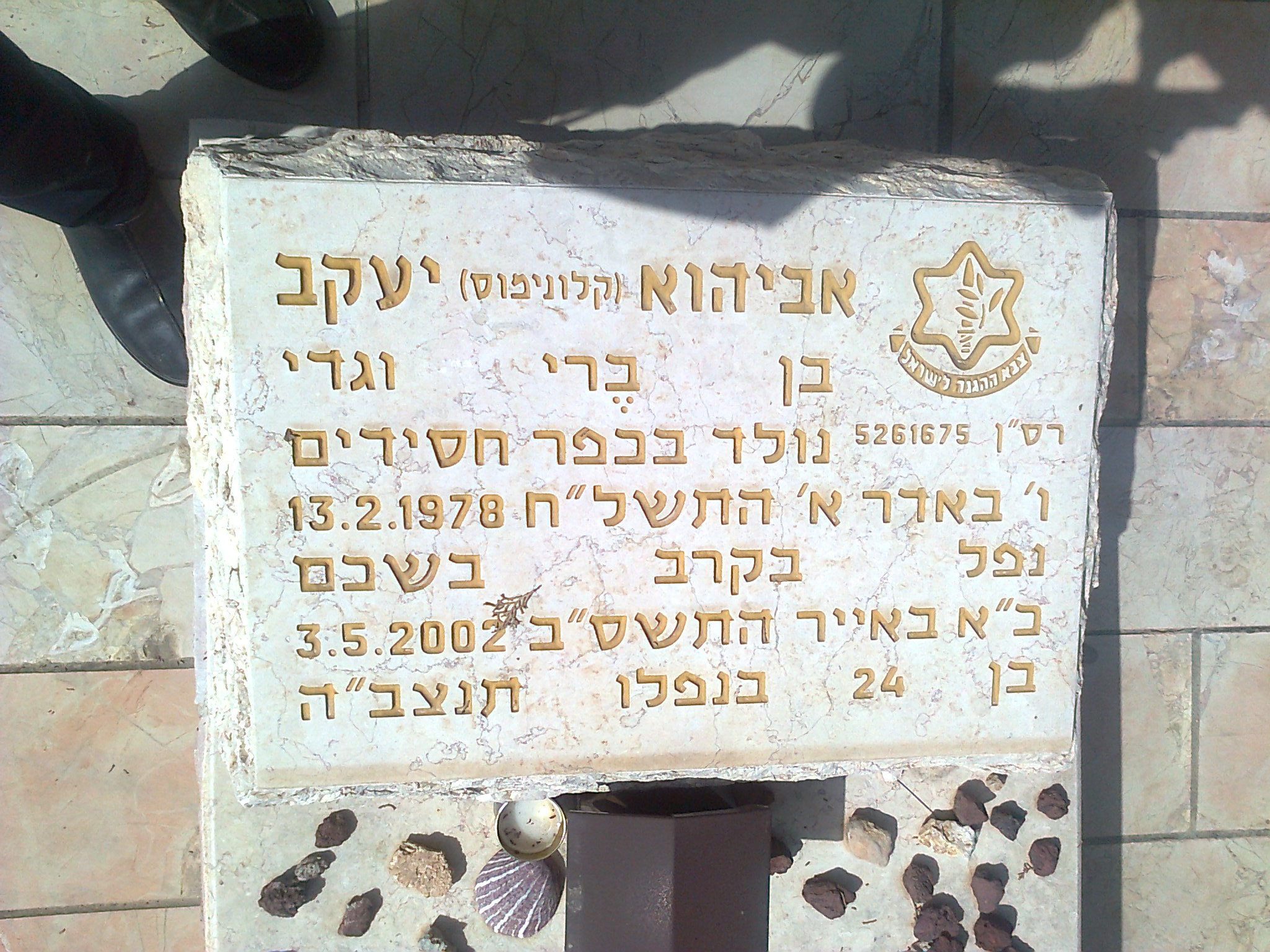תצלום0024.jpg