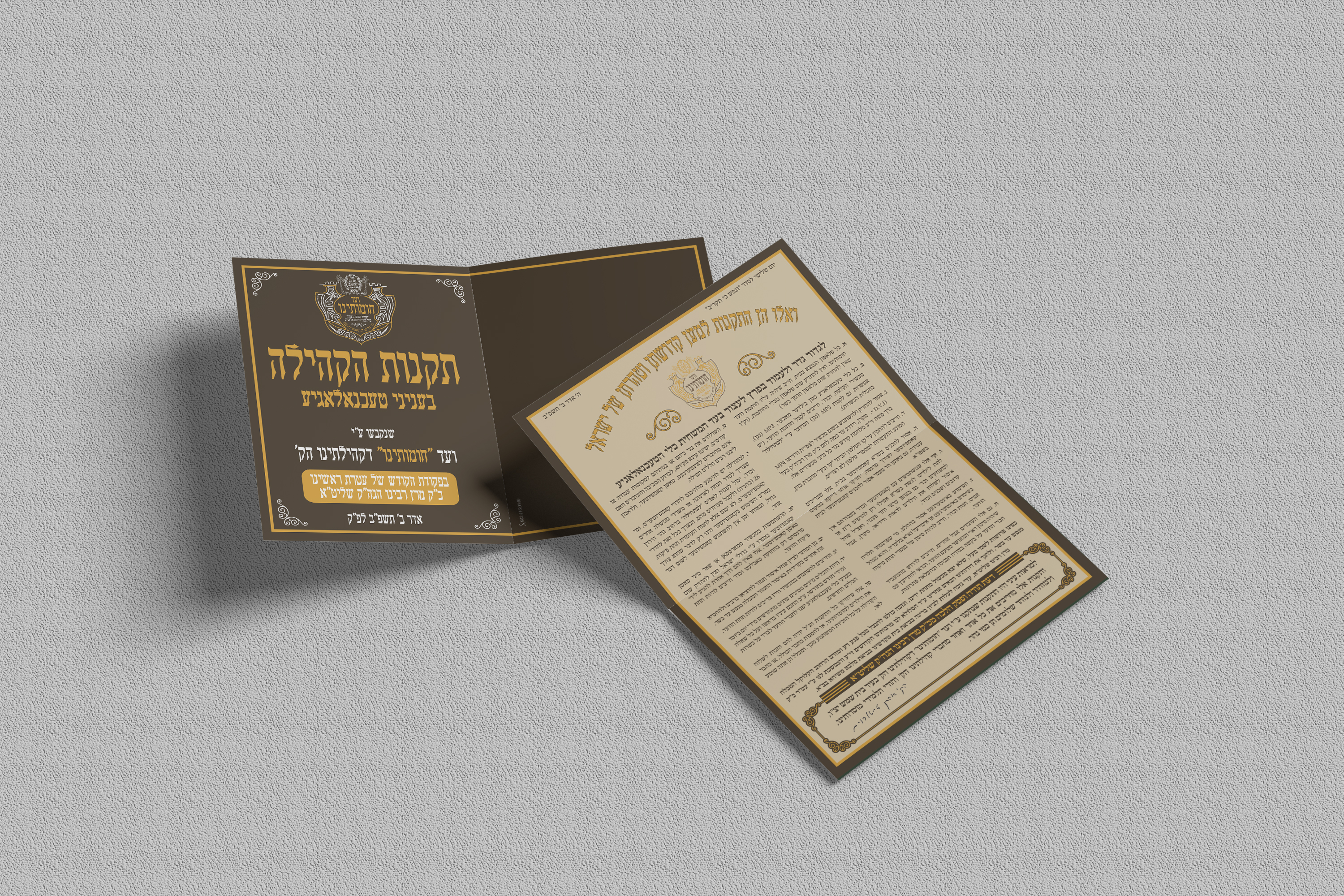 תקנות מוקאפ.jpg