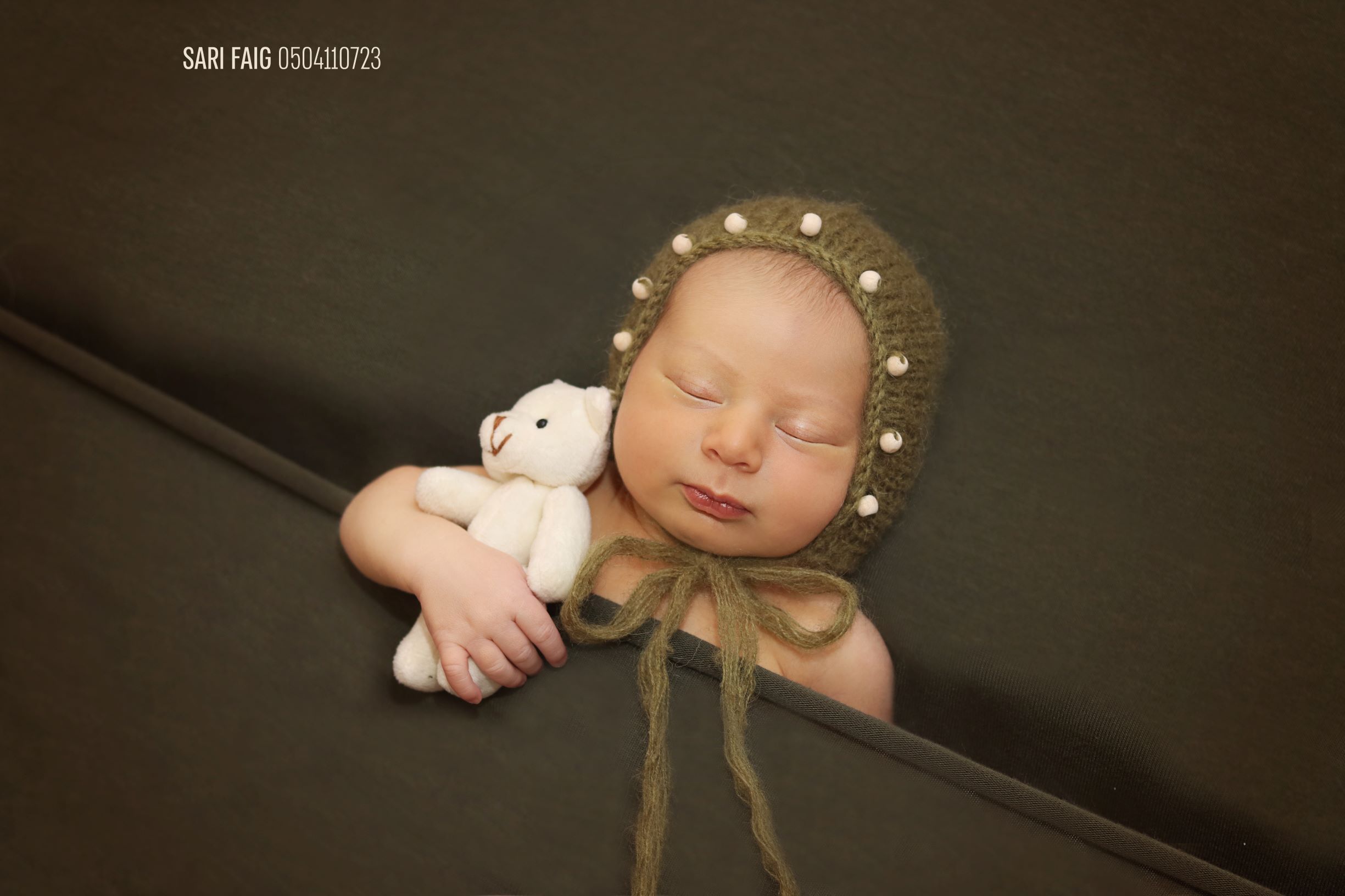 תקריב דובי.jpg