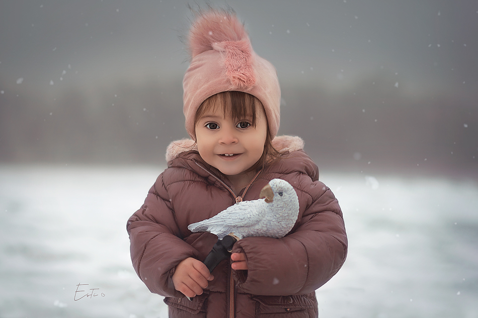 תקריב פערי מ.jpg