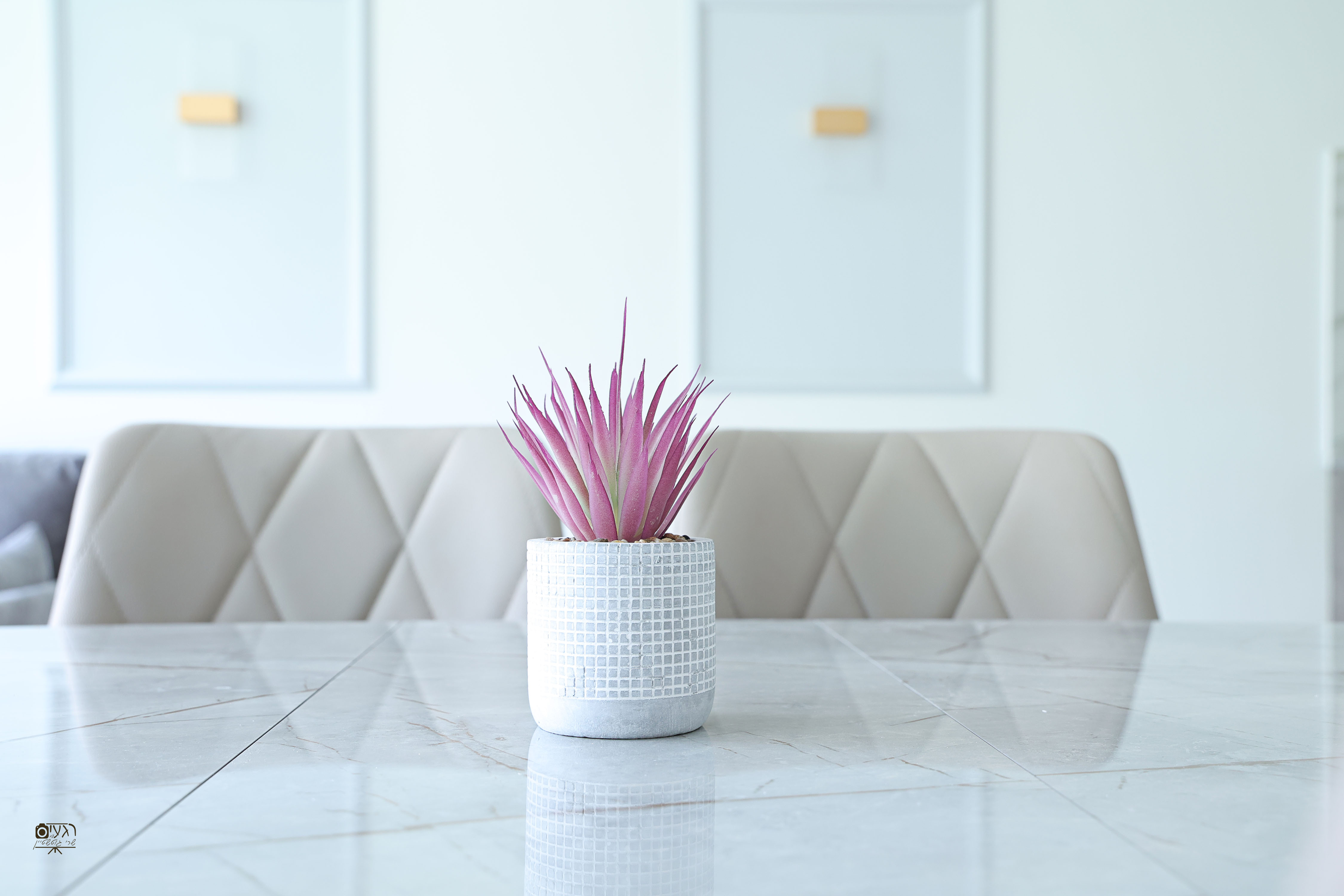 תקריב שולחן.jpg