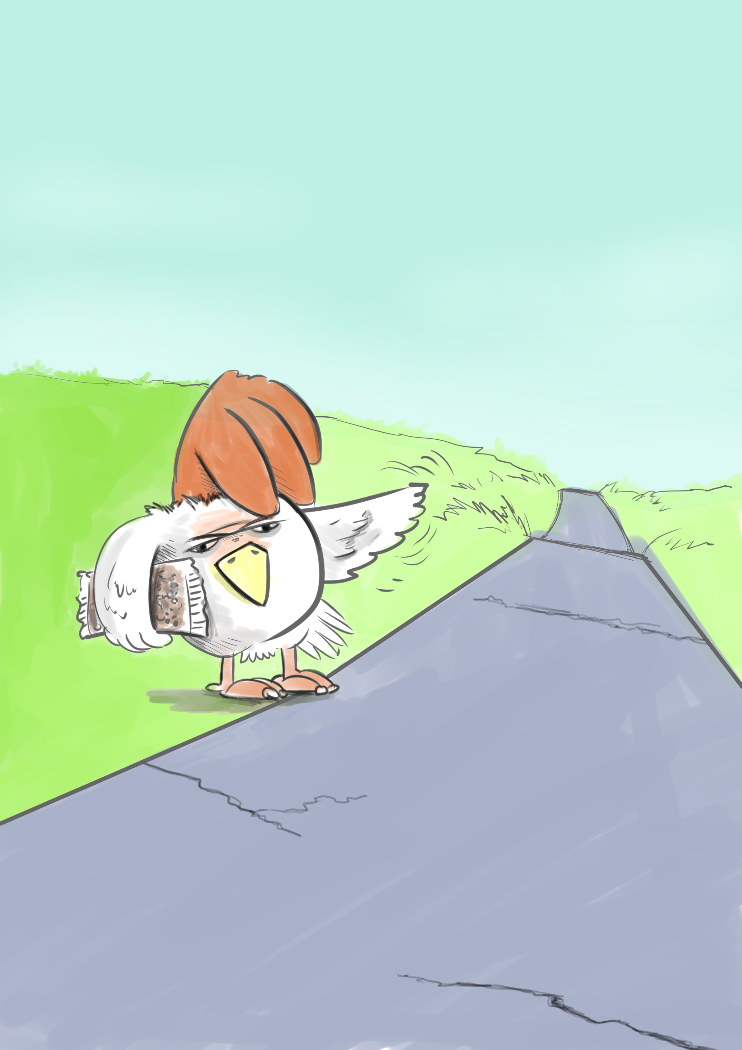 תרנגולא דג'קי.jpg