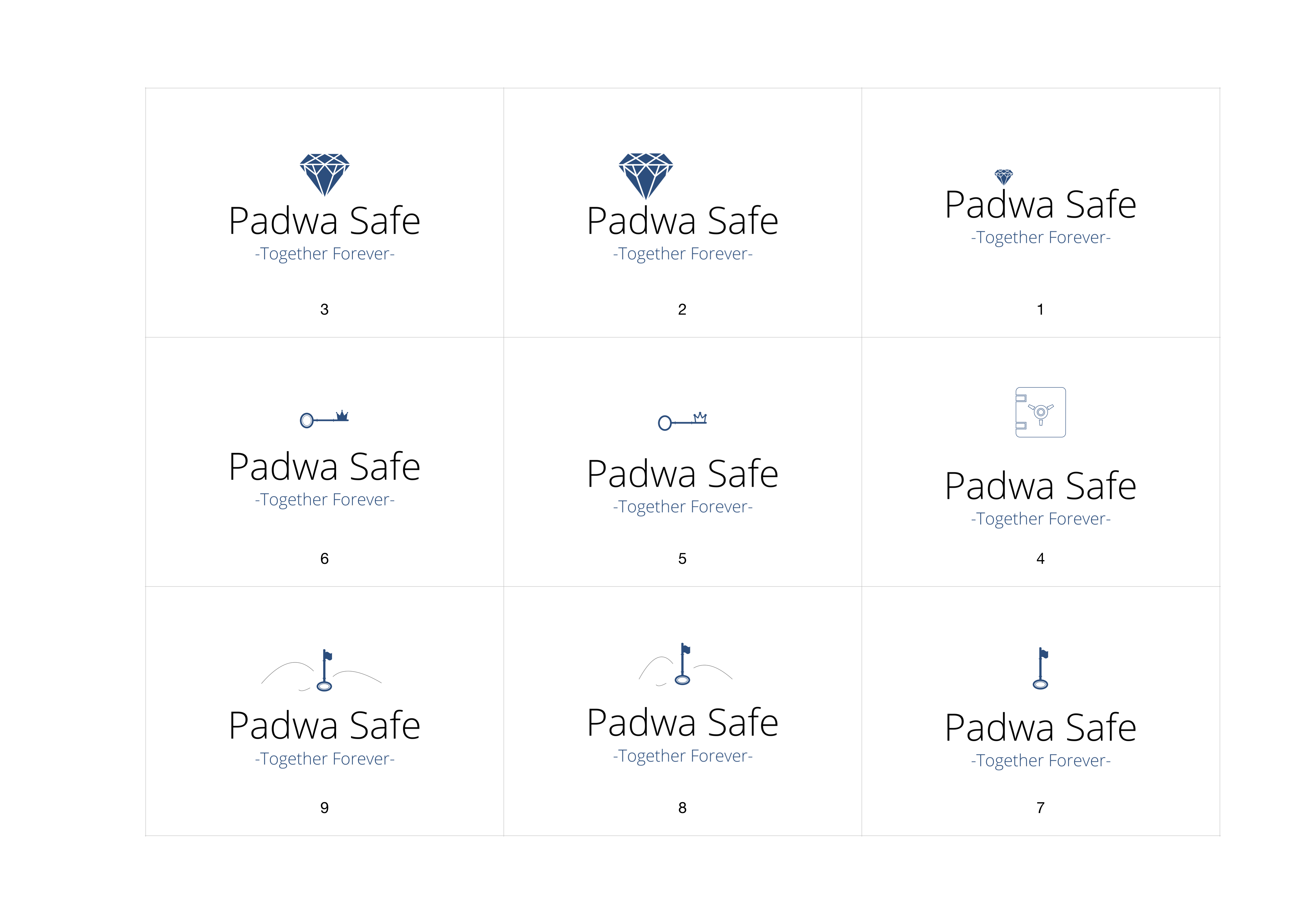 ‎⁨לוגו Padwa Safe⁩.png