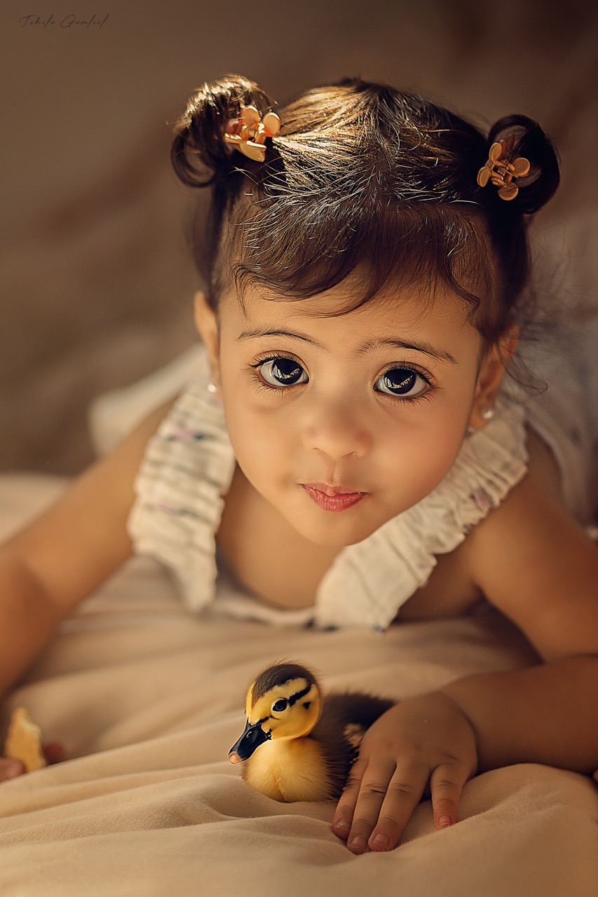 ‏״אביטל 2״ - גדול.jpeg