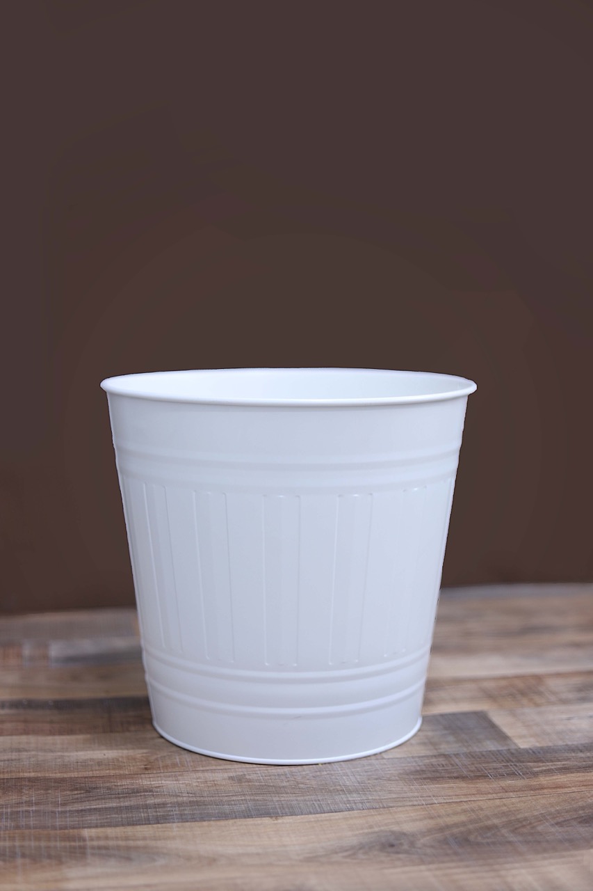 ‏״דלי 2״ - גדול.jpeg