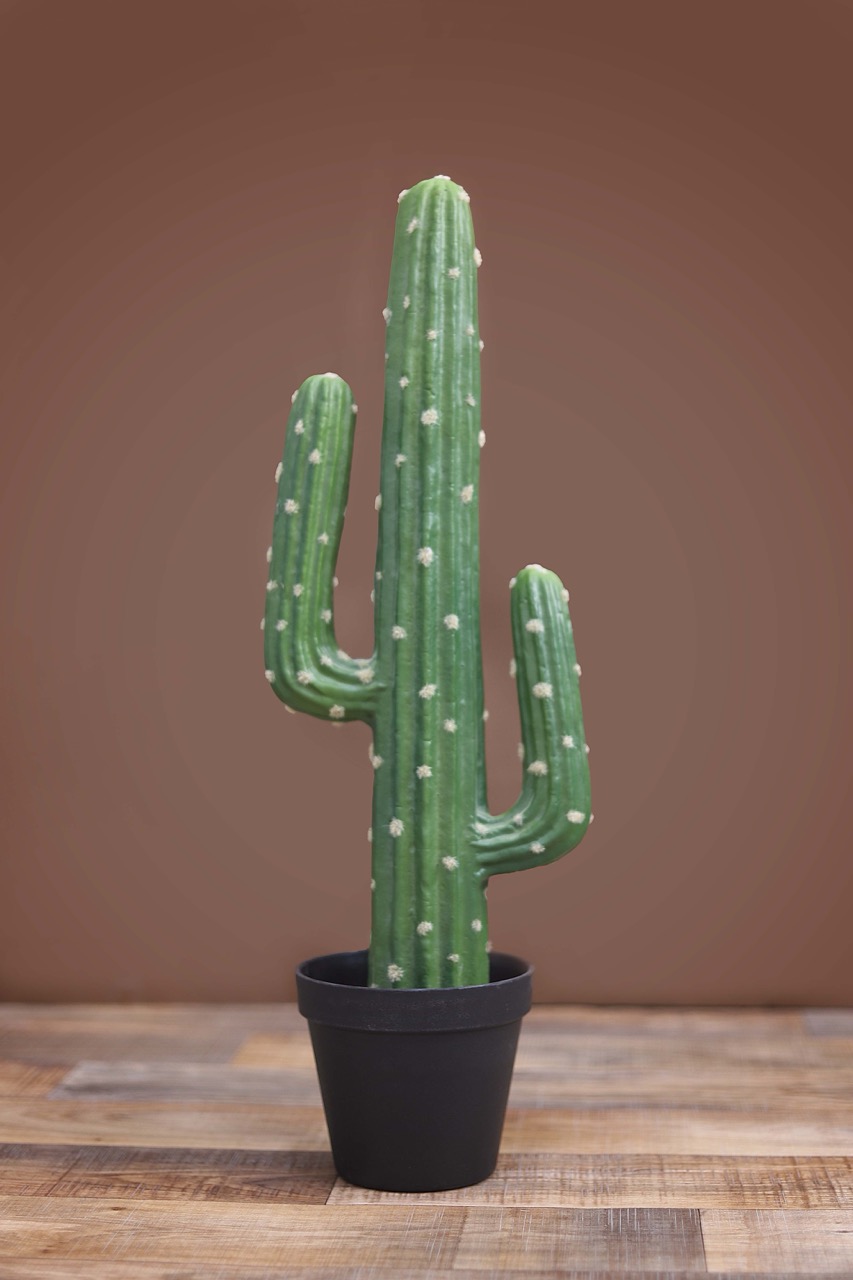 ‏״עציץ גדול״ - גדול.jpeg