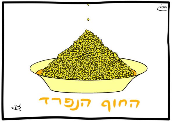 ‏‏לכידה.JPG