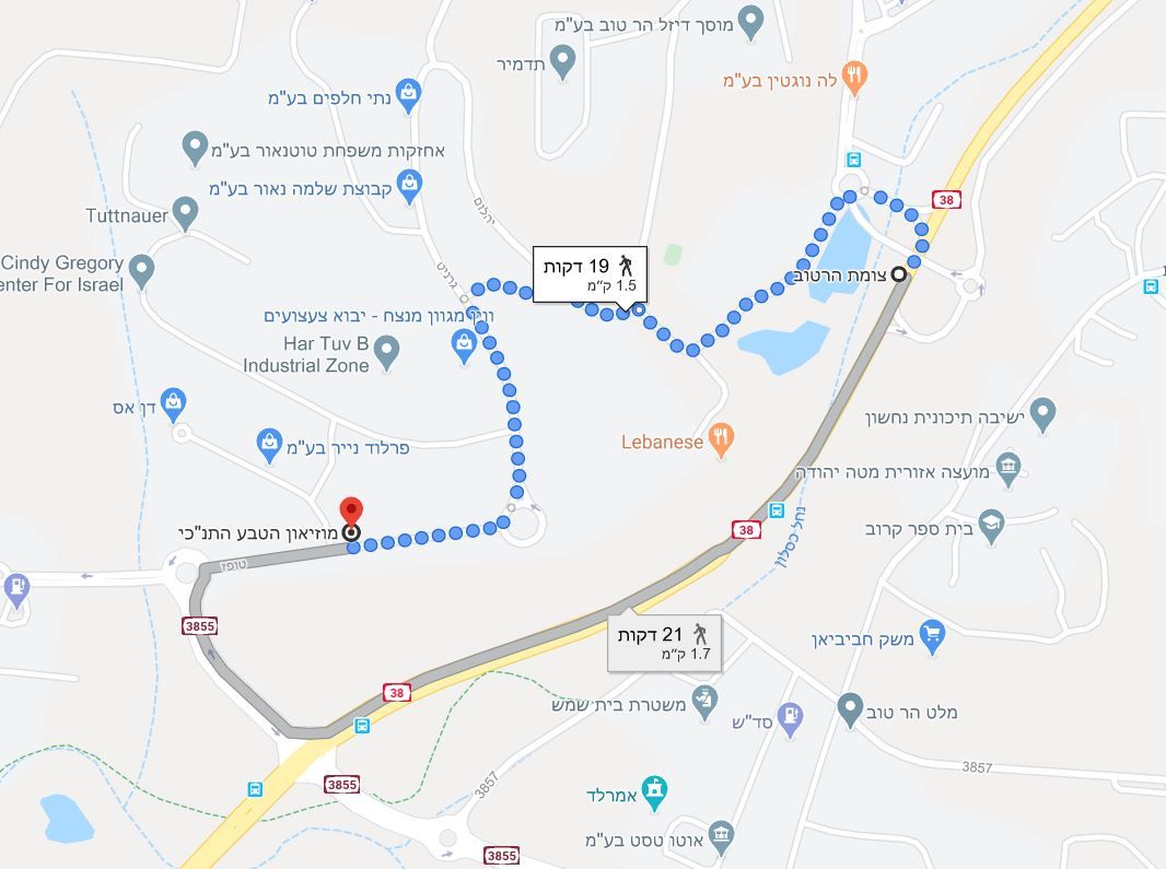 ‏‏לכידה.JPG