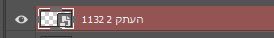 ‏‏לכידה.JPG