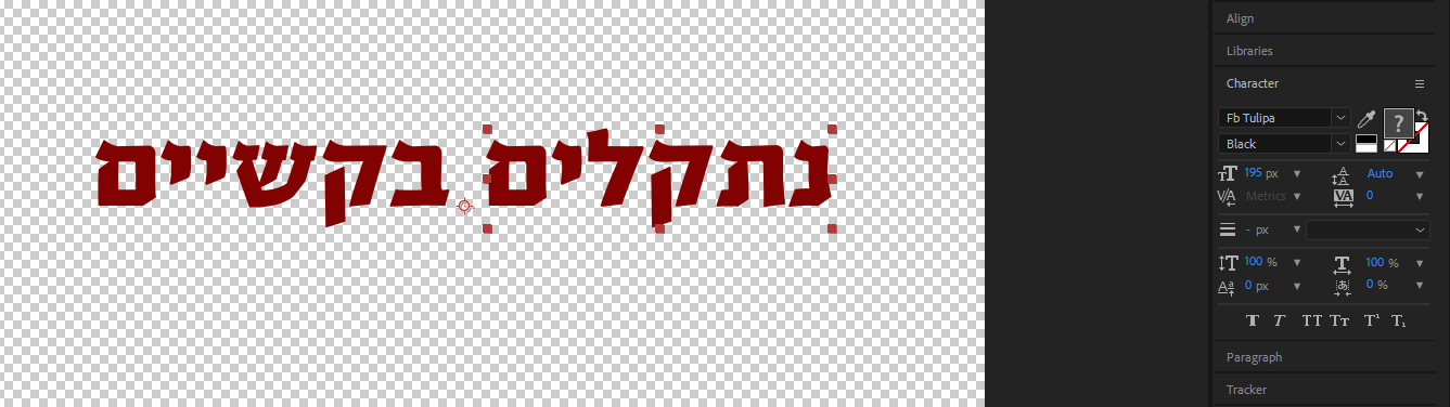 ‏‏לכידה.PNG