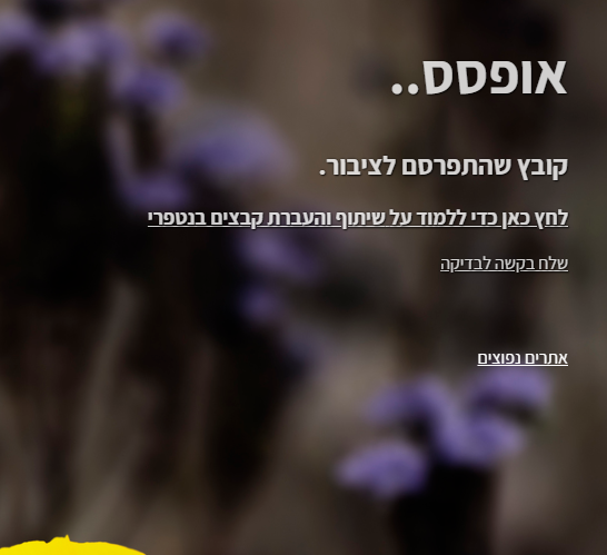 ‏‏לכידה.PNG