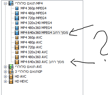 ‏‏לכידה.PNG