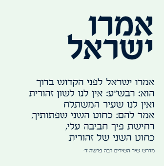 ‏‏לכידה.PNG