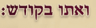 ‏‏לכידה.PNG