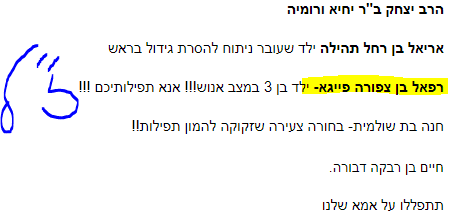 ‏‏לכידה.PNG
